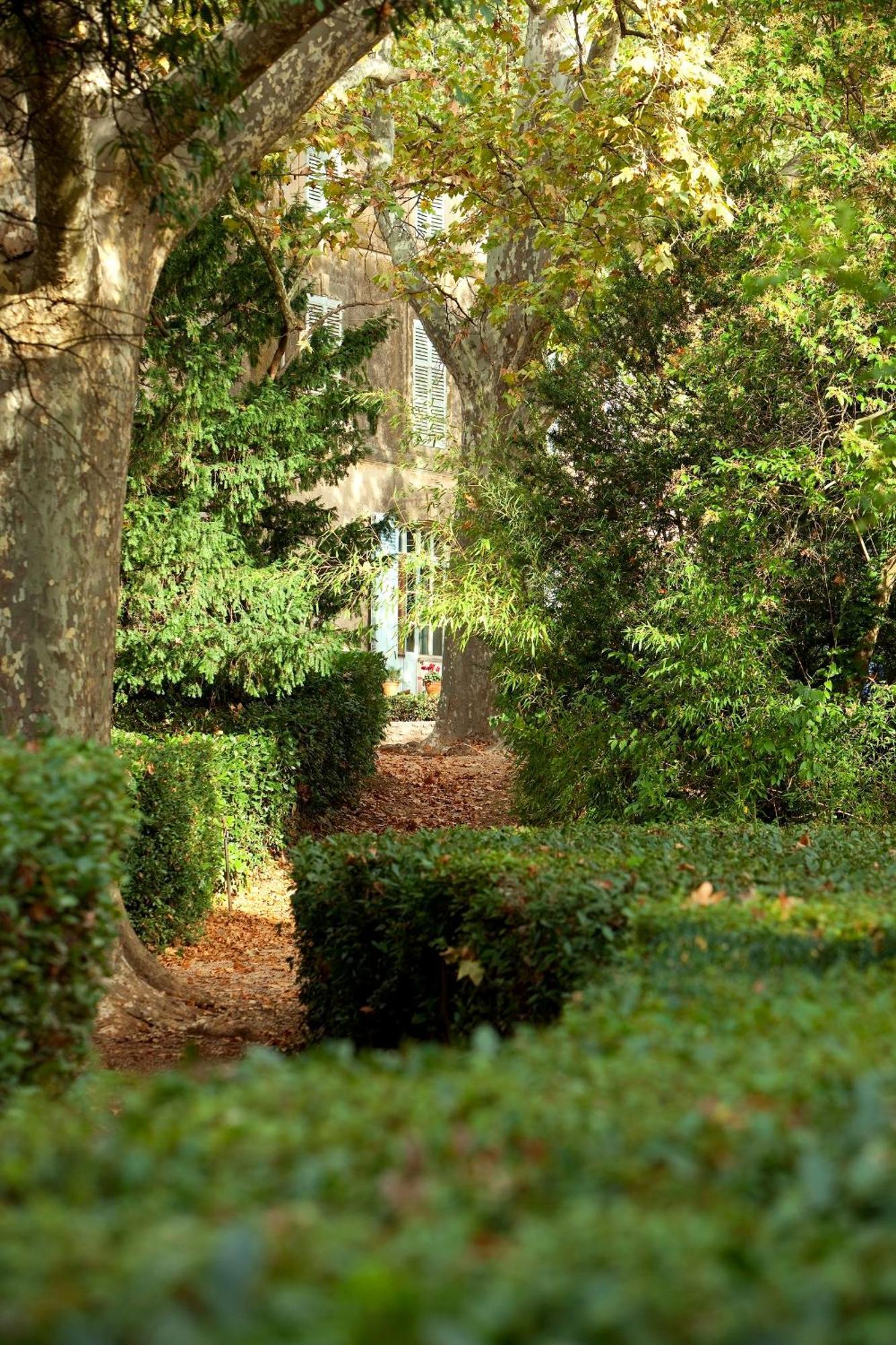Chateau De Saint Martin Taradeau Bagian luar foto