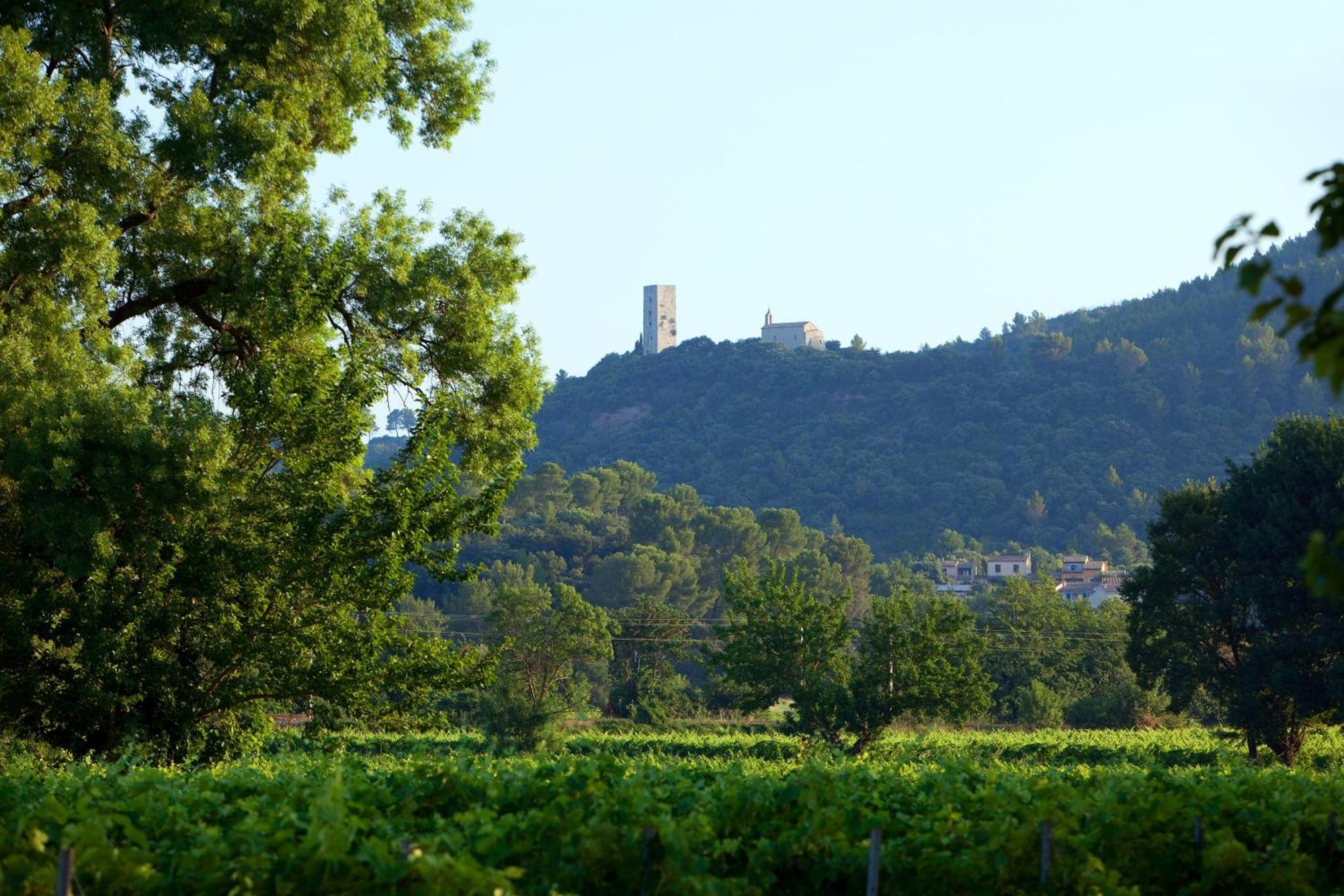 Chateau De Saint Martin Bed & Breakfast Taradeau Bagian luar foto