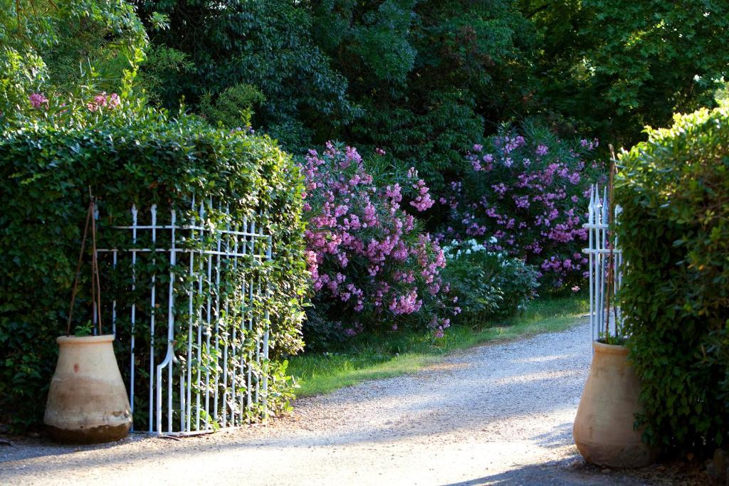 Chateau De Saint Martin Taradeau Bagian luar foto