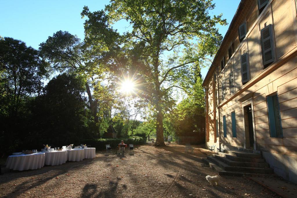 Chateau De Saint Martin Bed & Breakfast Taradeau Bagian luar foto